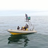 The Whale Unit - Xplorio™ Hermanus