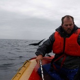 The Whale Unit - Xplorio™ Hermanus