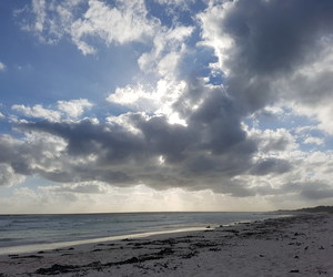 On the Beach: The Human Onslaught Continues