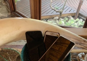 Digital Detox Retreat