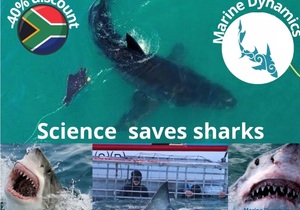 Next Marine Dynamics Shark Cage Diving Trip: 4 August 2021