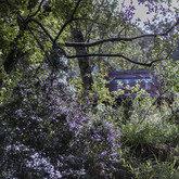 Through Natures Eyes - Bodhi Khaya Nature Retreat - Xplorio™ Gansbaai