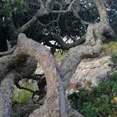 Beautiful hike from Amazing Grace in De Kelders along the coast, direction Stanford's Cove - Amazing Grace B&B - Xplorio™ Gansbaai