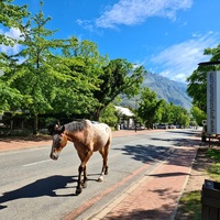 Greyton Tourism - Xplorio™ Greyton