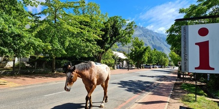 Greyton_Tourism_1628692289