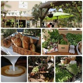 Produce Market - Greyton Tourism - Xplorio™ Greyton