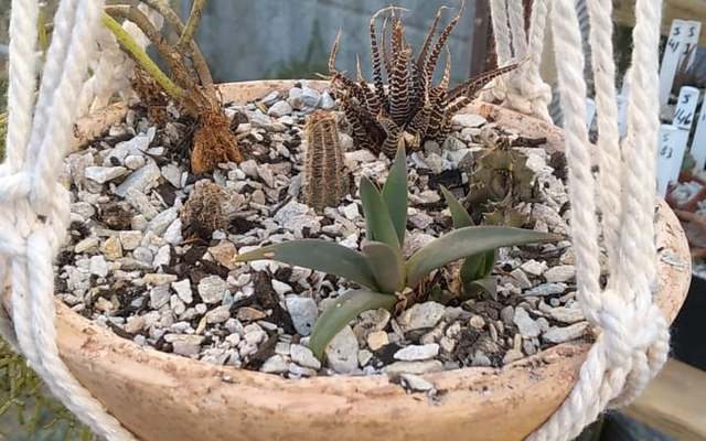 231833203_123988296620859_2040335270129814476_n_1628843448