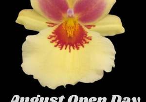 28 August 2021: August Open Day