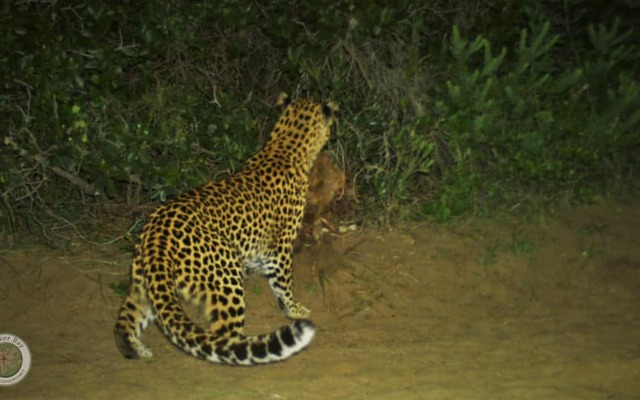 236410679_4266501216764287_5100499951702014039_n_1629360673