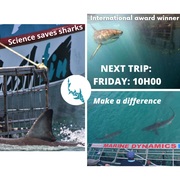 Next Marine Dynamics Shark Cage Diving Trip: Friday, 20 August 2021