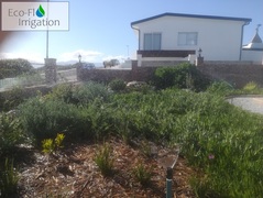 Irrigation Project in Gansbaai
