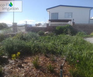 Irrigation Project in Gansbaai