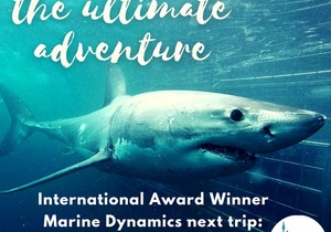 Next Marine Dynamics Shark Cage Diving Trip: Saturday, 21 August 2021