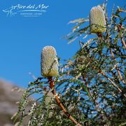 Explore The Many Activities