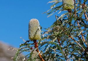 Explore The Many Activities