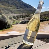 Raka Happiness Sparkling Sauvignon blanc Brut - Stanford Wine Route - Xplorio™ Stanford