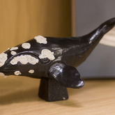 Southern Wright Whales - The Whale Unit - Xplorio™ Hermanus