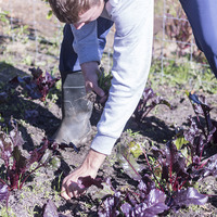 Teaching Children To Be Skilled - The Butterfly Centre - Xplorio™ Stanford