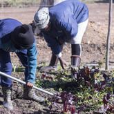 Skills Training - The Butterfly Centre - Xplorio™ Stanford