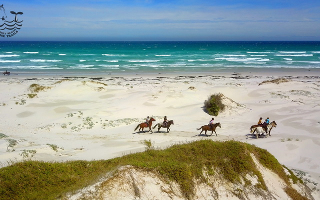 Gansbaai & Pearly Beach Horse Trails