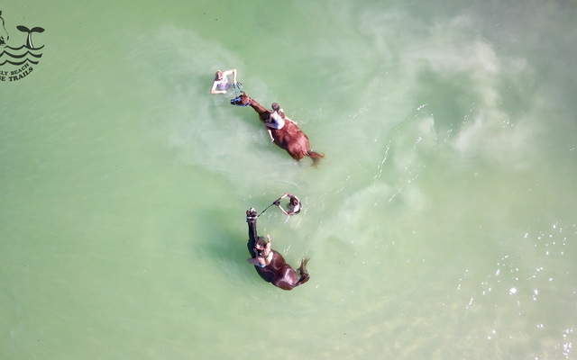 Gansbaai & Pearly Beach Horse Trails