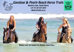 Tripadvisor Travellers’ Choice Award 