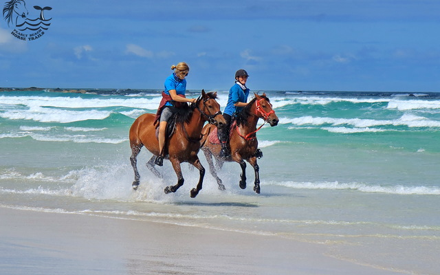 Gansbaai & Pearly Beach Horse Trails