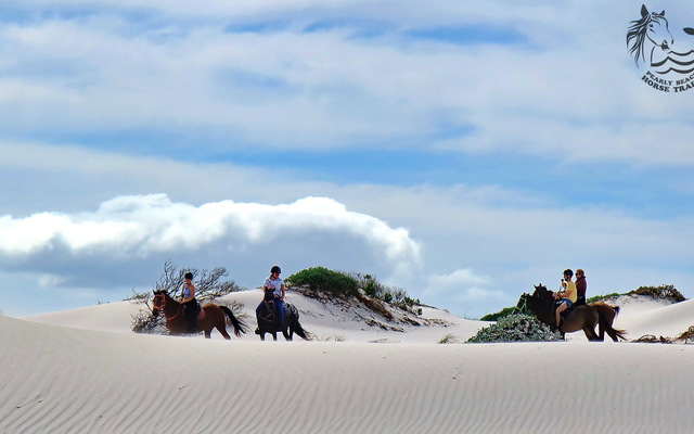 Gansbaai & Pearly Beach Horse Trails