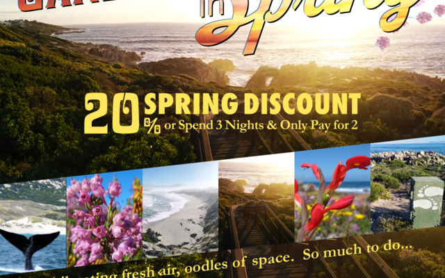 Spring_Break_Special_1200x1200_1630410631