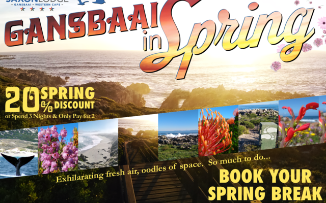 Spring_Break_Special_1200x855_1630410422