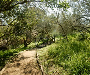 Superior Self-Catering Close To Nature In Stanford