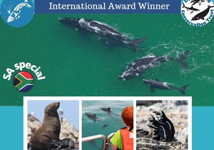 Next Dyer Island Marine Big 5 Tour: 6 September 2021