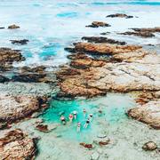 WIN a whale of a weekend at De Hoop!