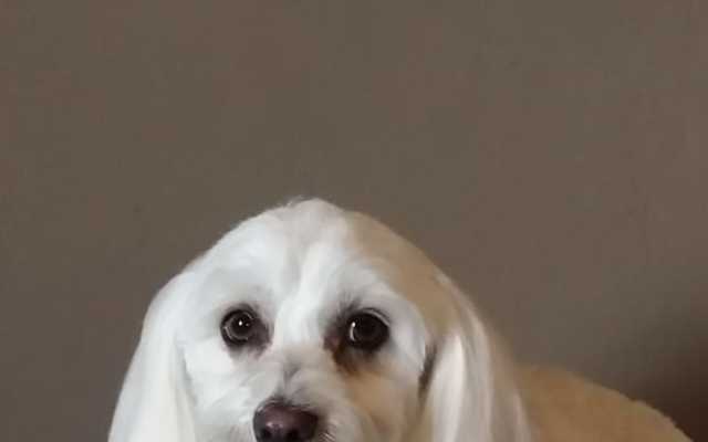 WhatsApp_Image_2021_09_10_at_12.19.34_3_1631519523