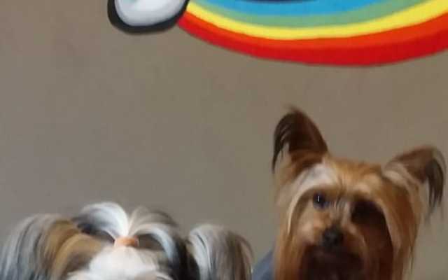 WhatsApp_Image_2021_09_10_at_12.19.36_1_1631519524