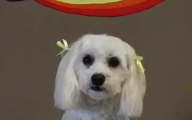 WhatsApp_Image_2021_09_10_at_12.19.38_1_1631519524