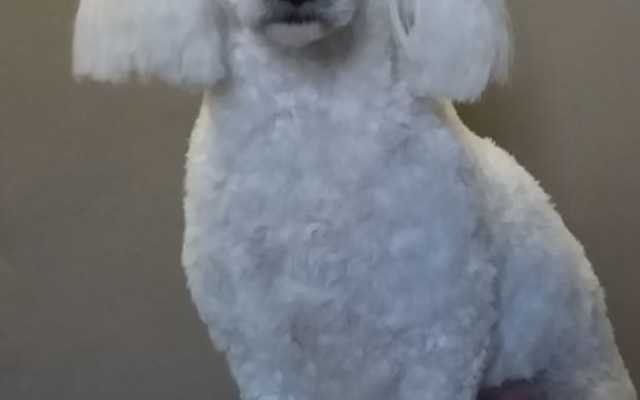 WhatsApp_Image_2021_09_10_at_12.19.39_1_1631519525