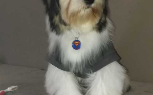 WhatsApp_Image_2021_09_10_at_12.19.43_2_1631519525