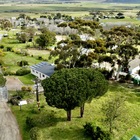 Baardskeerdersbos - Seeff Pearly Beach - Xplorio™ Gansbaai