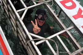 Daily Blog: 14 September 2021 | Shark Cage Diving in South Africa