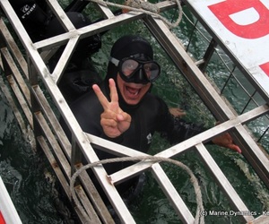 Daily Blog: 14 September 2021 | Shark Cage Diving in South Africa