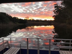 Cruise on the Lady Stanford River Cruise this Spring!