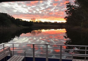 Cruise on the Lady Stanford River Cruise this Spring!