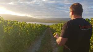 Lomond Cellar Club Welcome Virtual Tasting (7 October 2021)