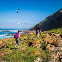 Hikers - Cape Nature- Xplorio™ Hermanus