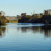 River Scene - Cape Nature- Xplorio™ Hermanus