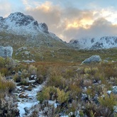 Snowy Mountain - Cape Nature - Xplorio™ Hermanus