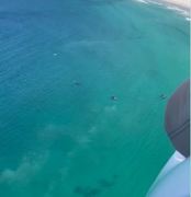 Second Aerial Survey