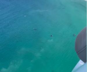 Second Aerial Survey