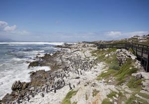 Outdoor Activities in Betty’s Bay